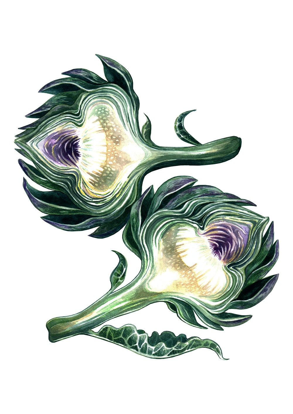 Artichoke
