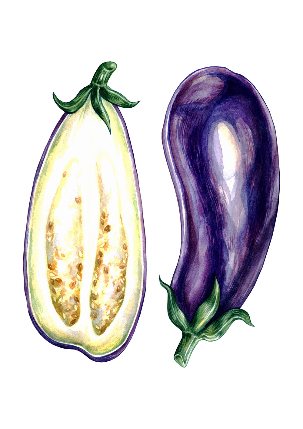Aubergine