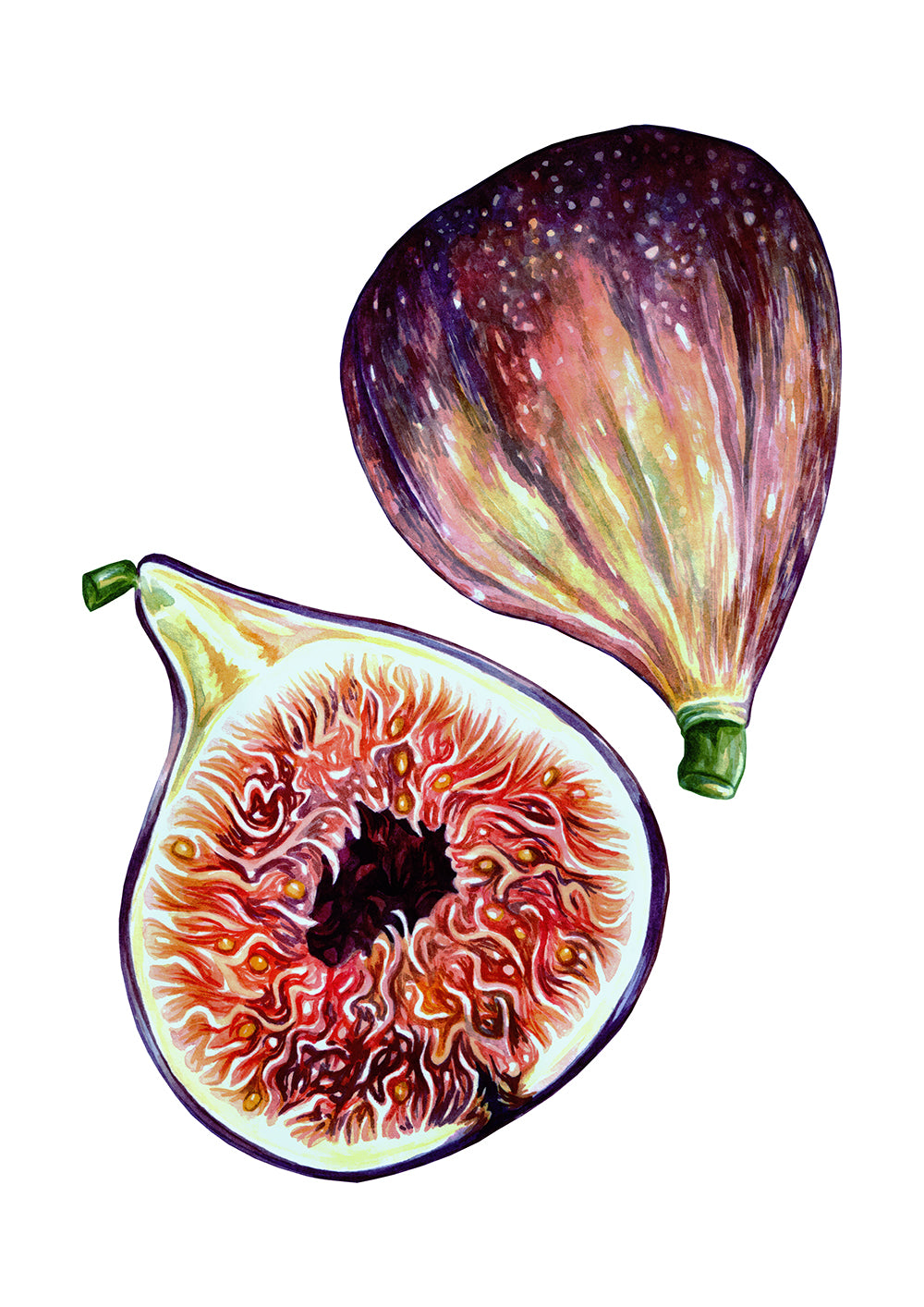 Fig