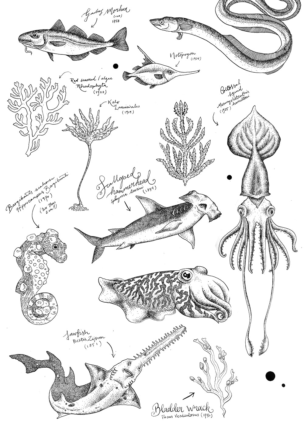 Ocean Sketches