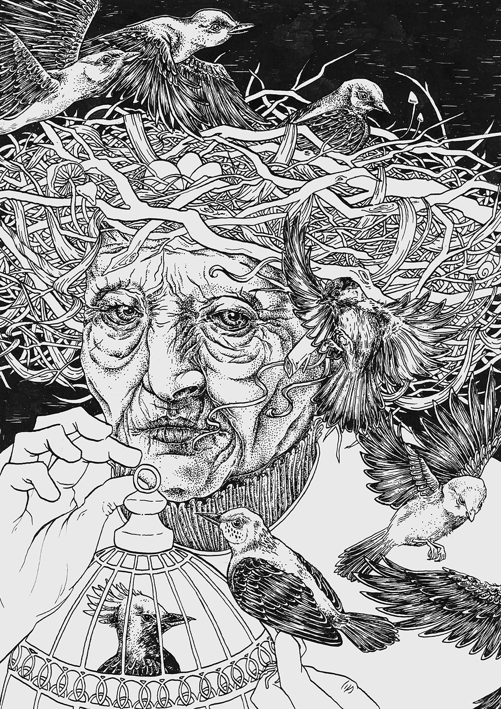 The Witch