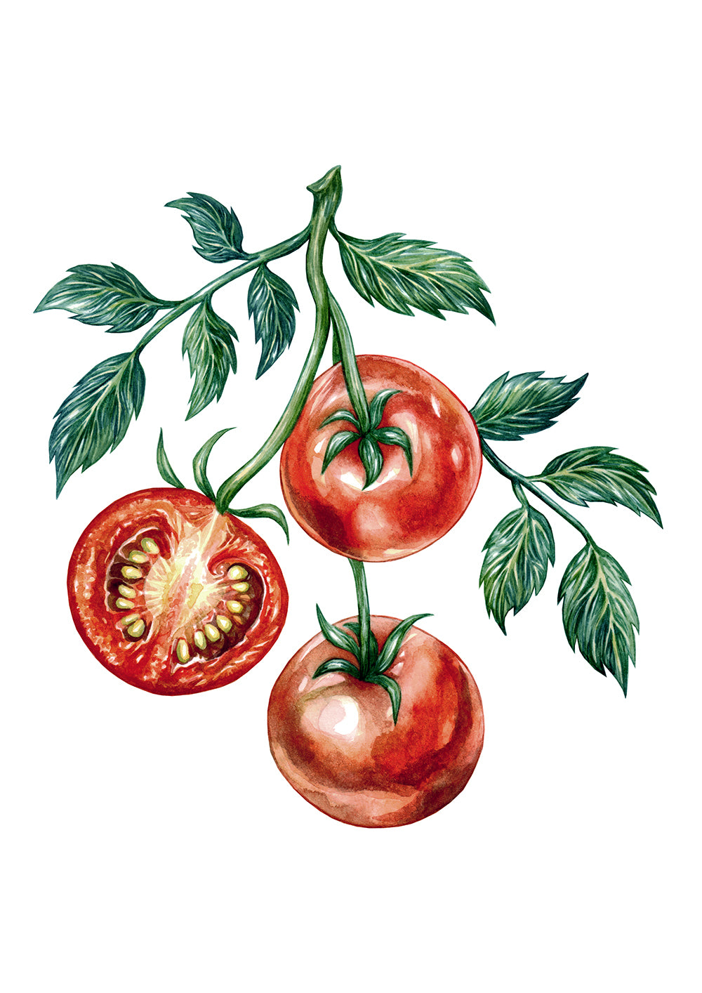 Tomatoes