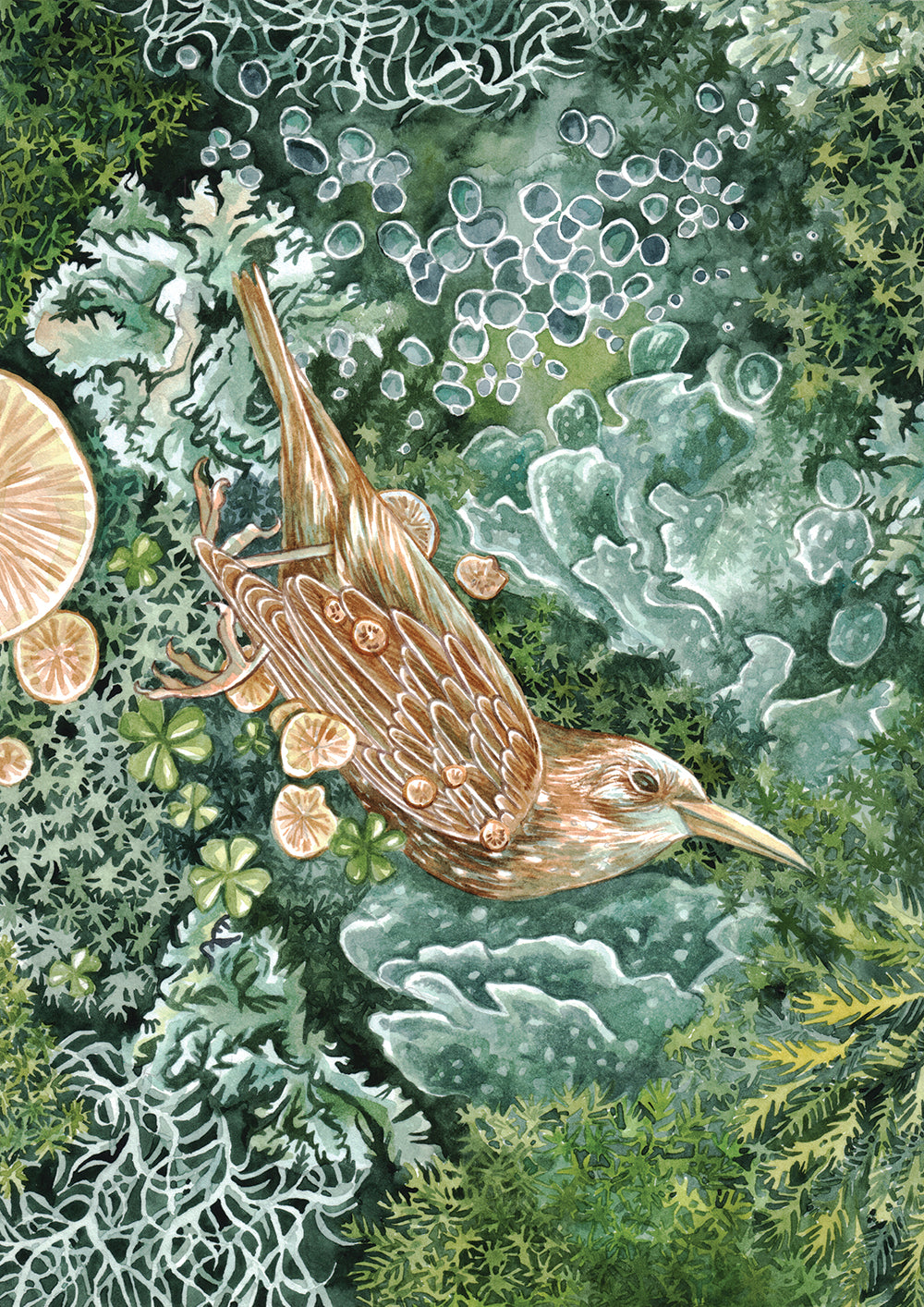 Forest Postcard Pack