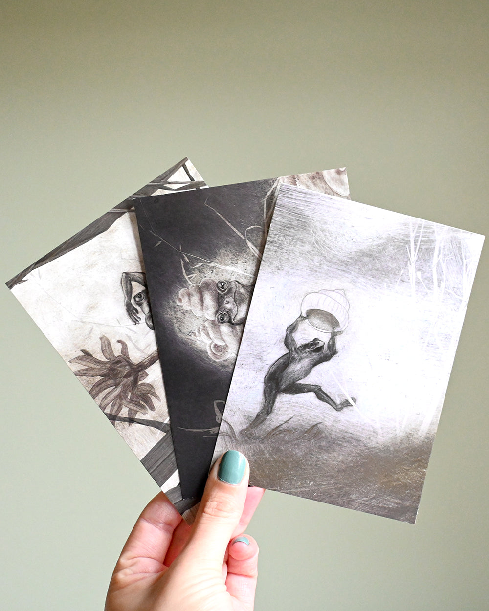 Frog Postcard Pack
