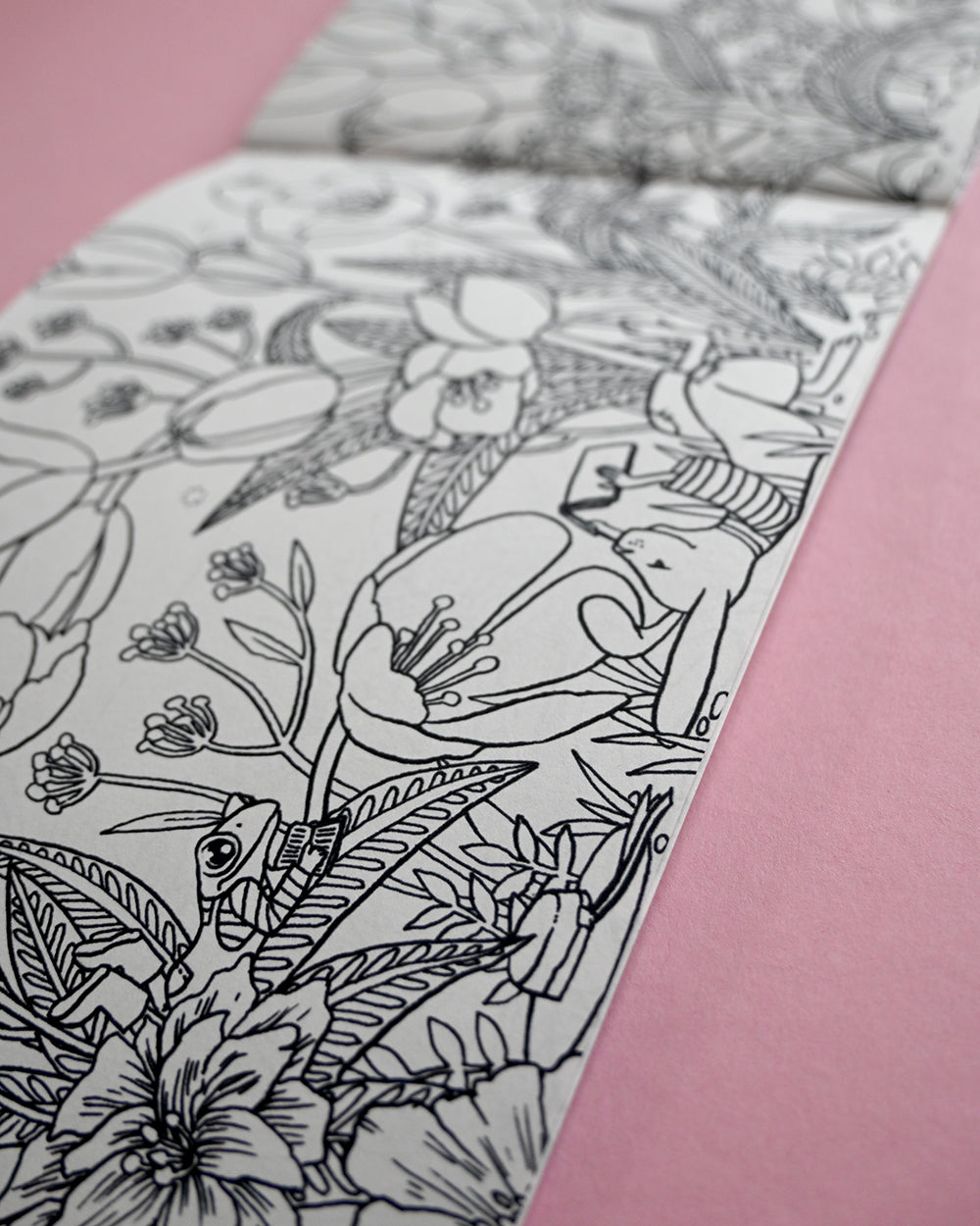 Four Seasons Colouring Book
