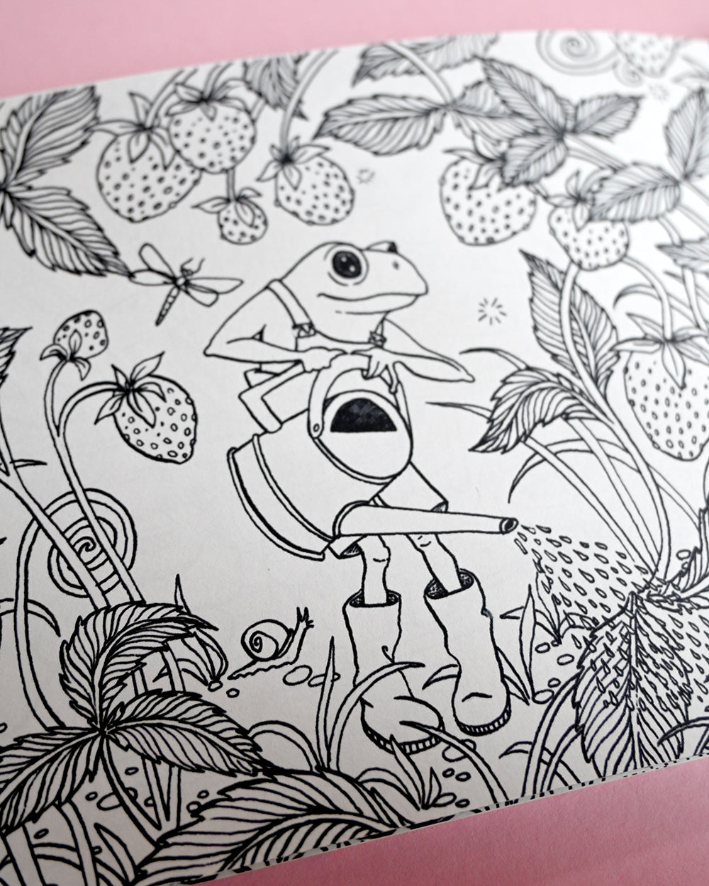 Four Seasons Colouring Book