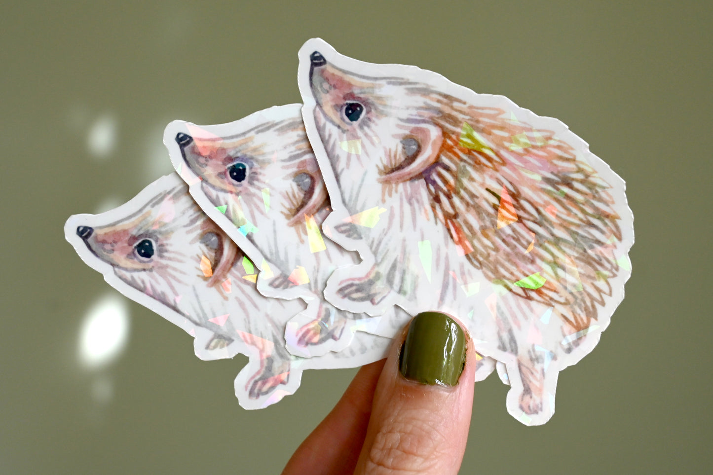 Hedgehog Vinyl Sticker