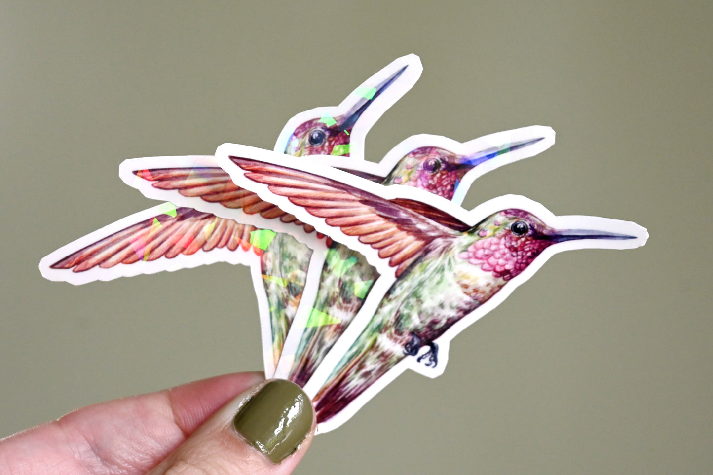 Hummingbird Vinyl Sticker
