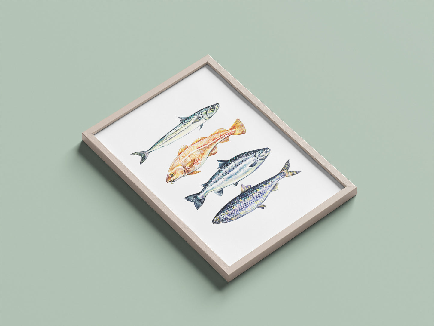 Fish