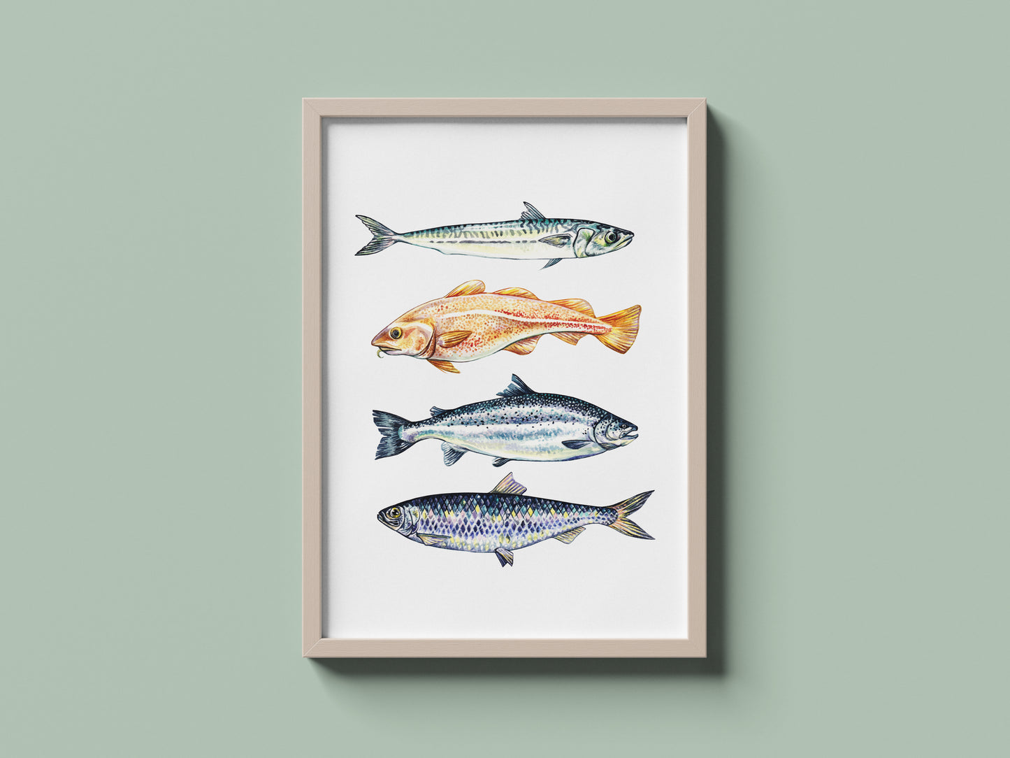 Fish