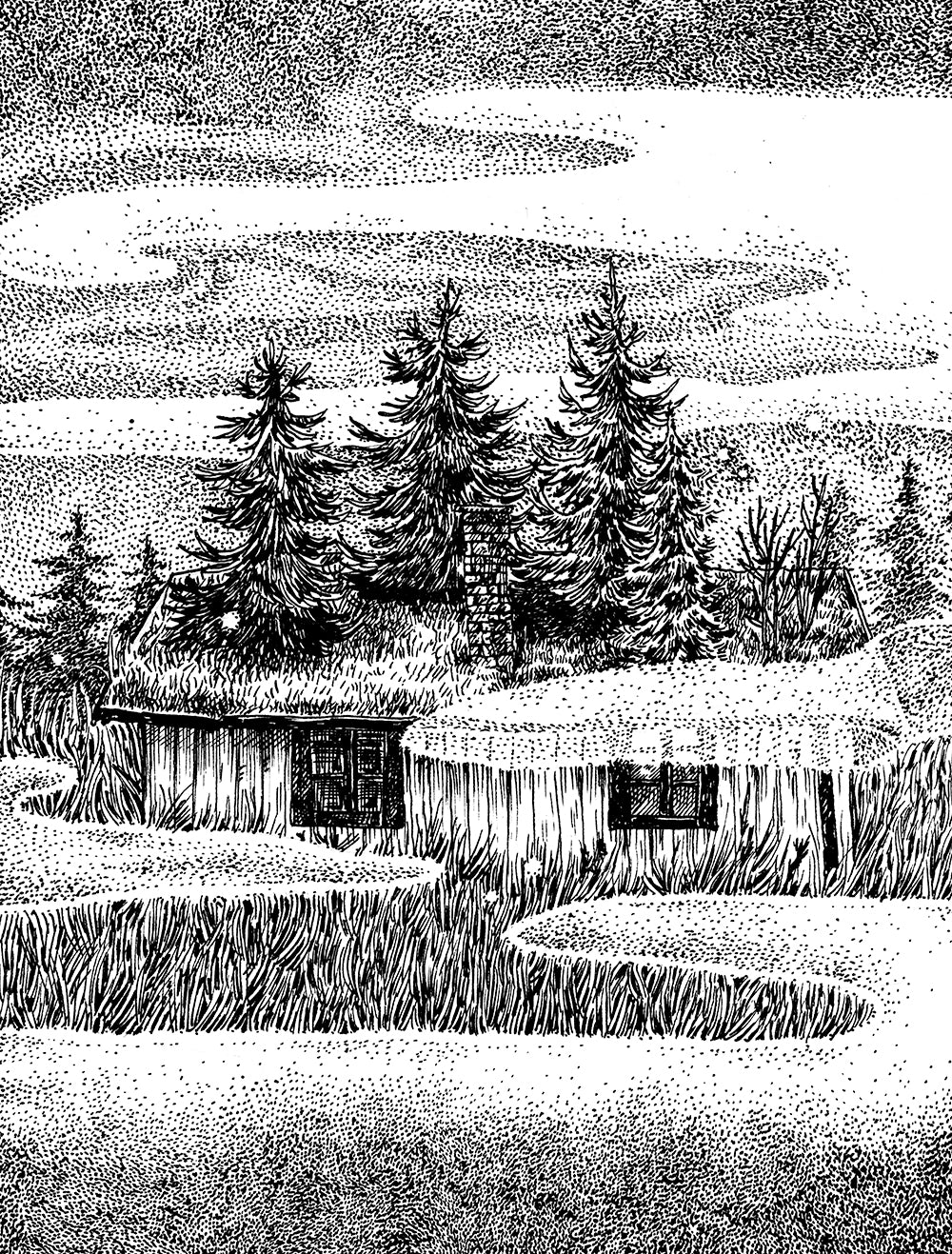 Hemsedal House