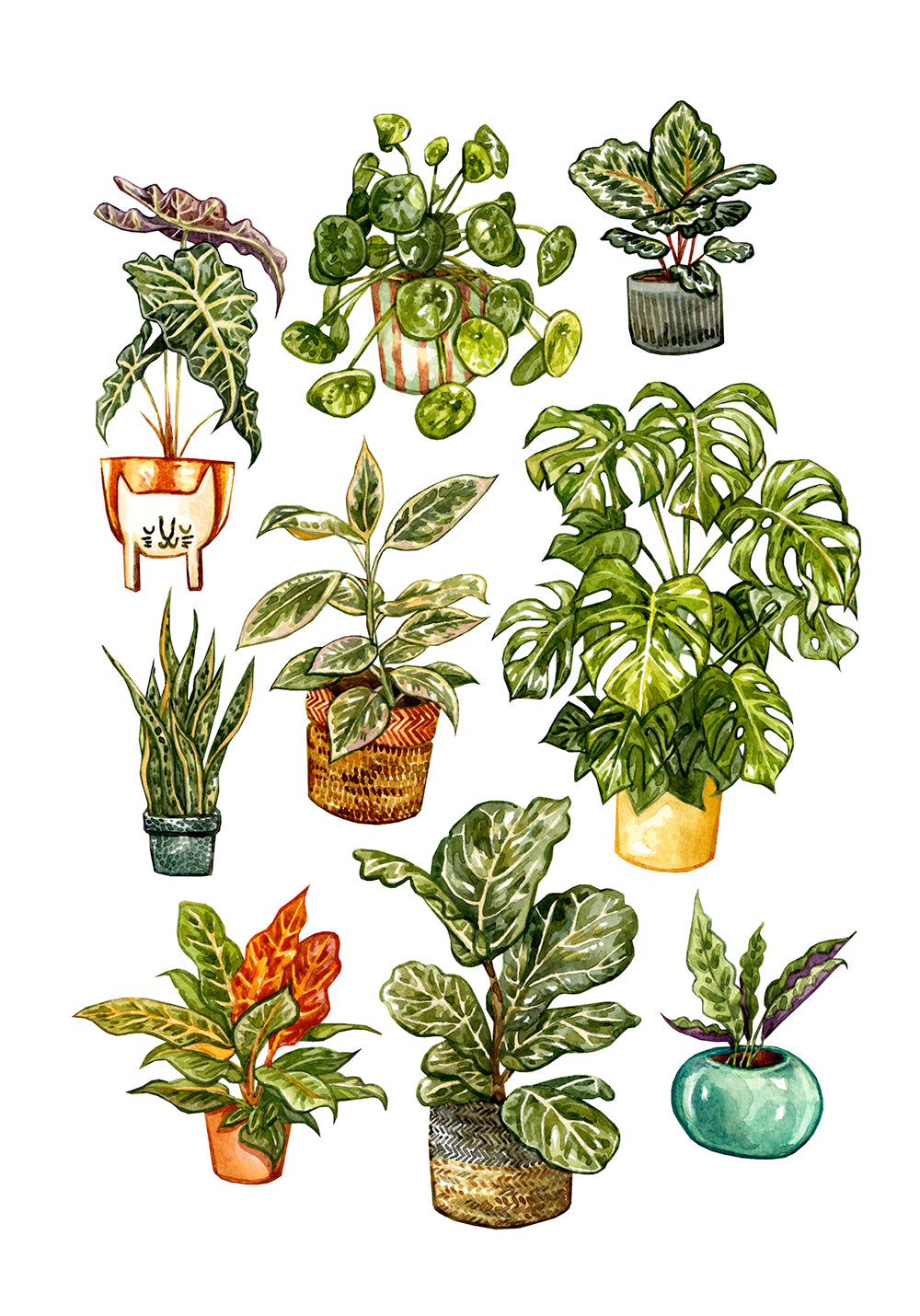 Houseplants Original Watercolour