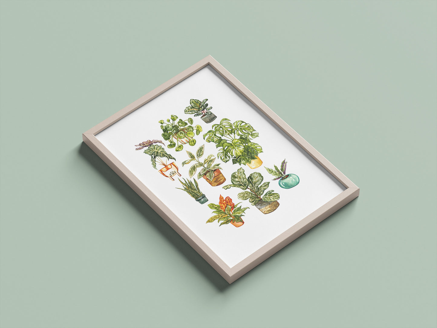 Houseplants