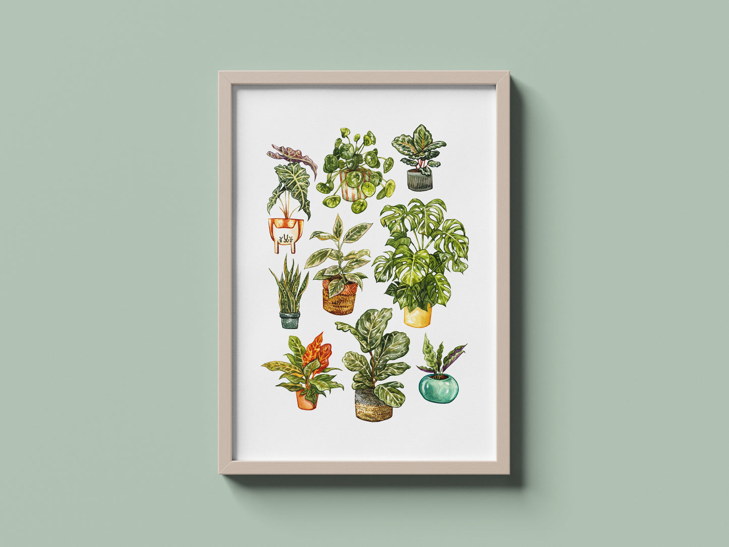 Houseplants