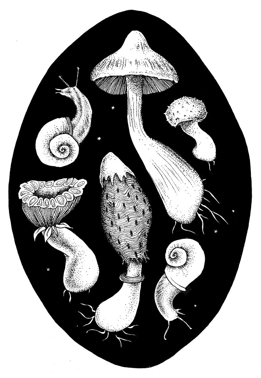 Mushroom Circle