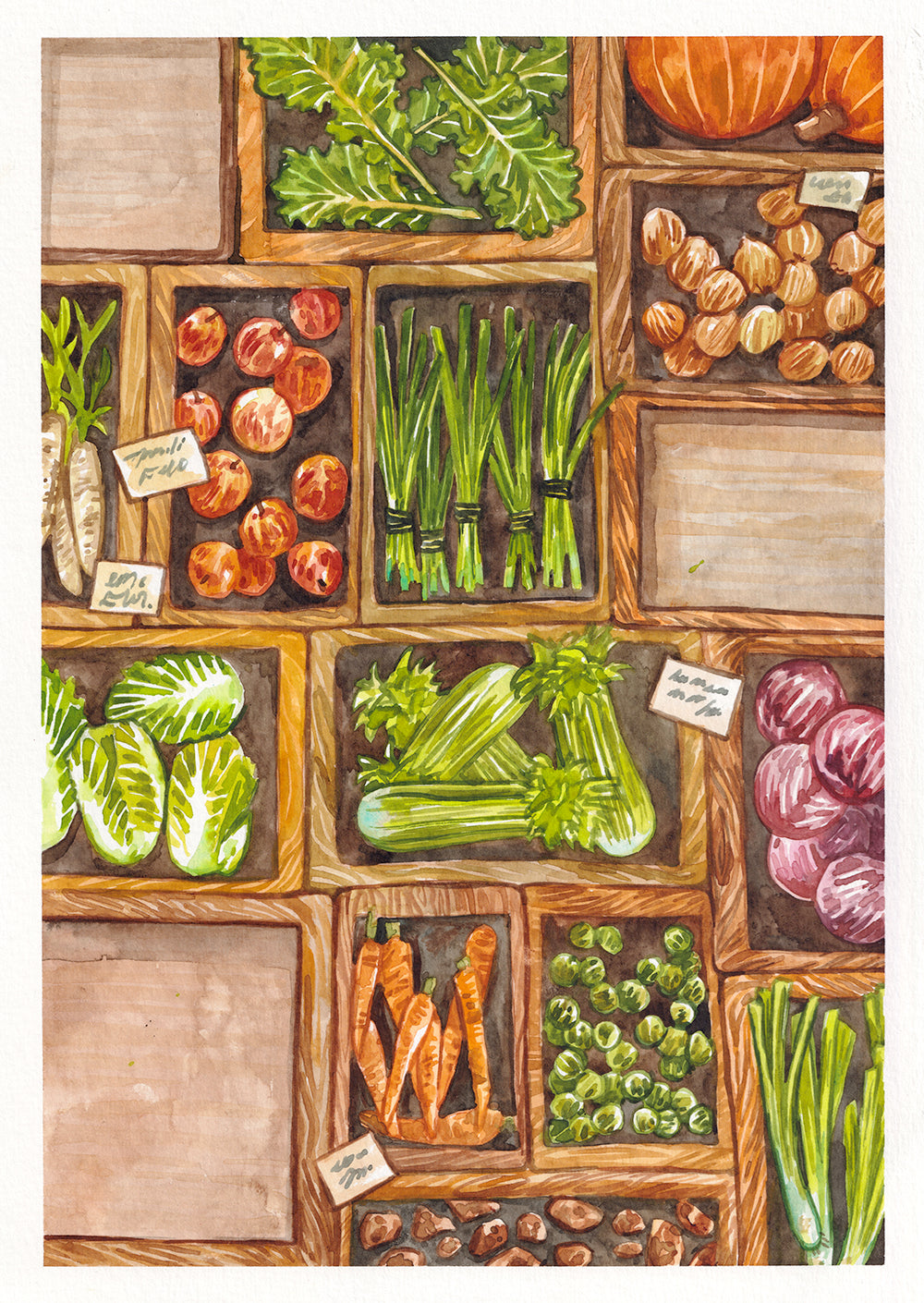 November Vegetables Original Watercolour
