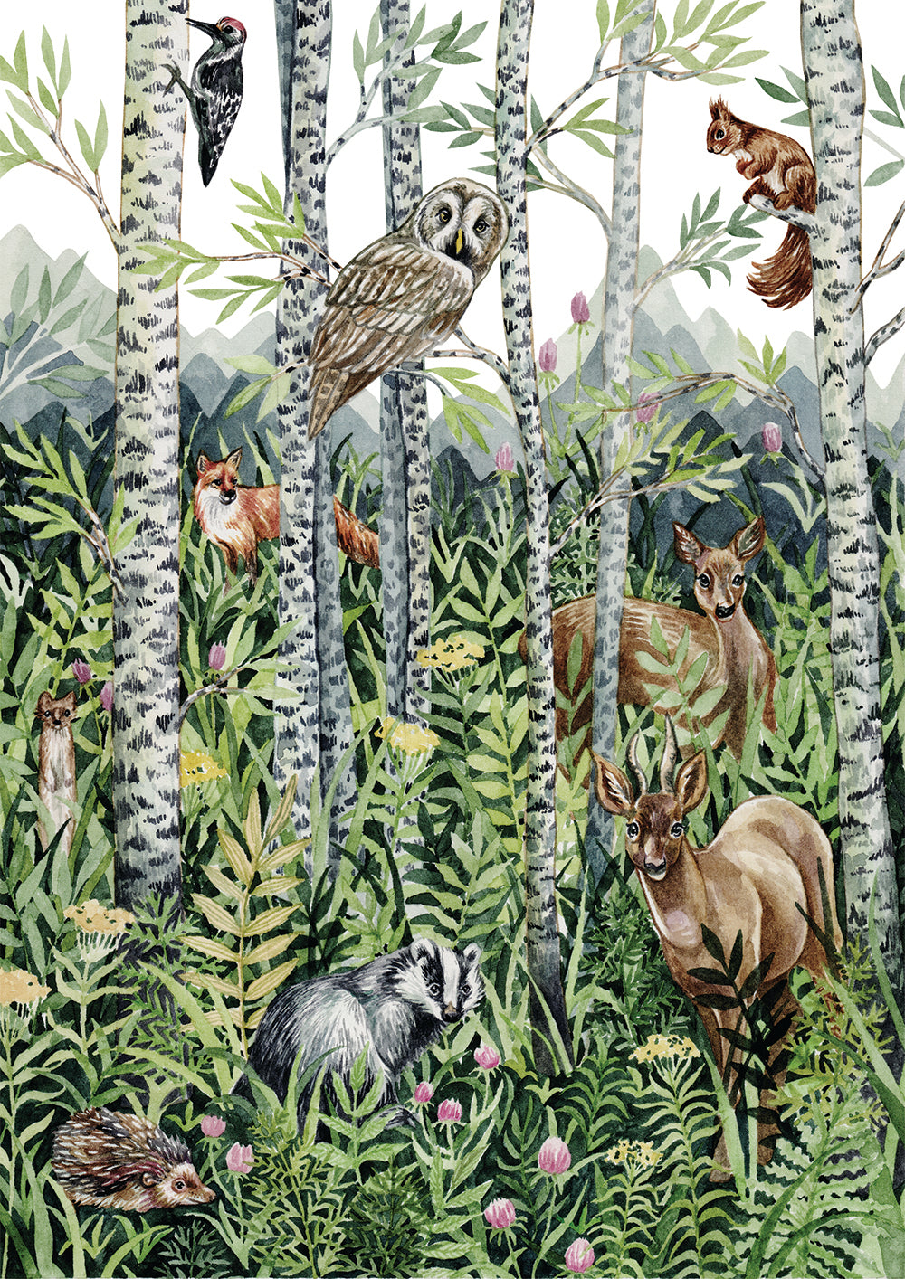 Forest Postcard Pack