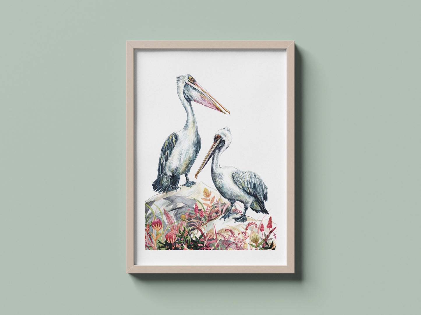 Pelicans
