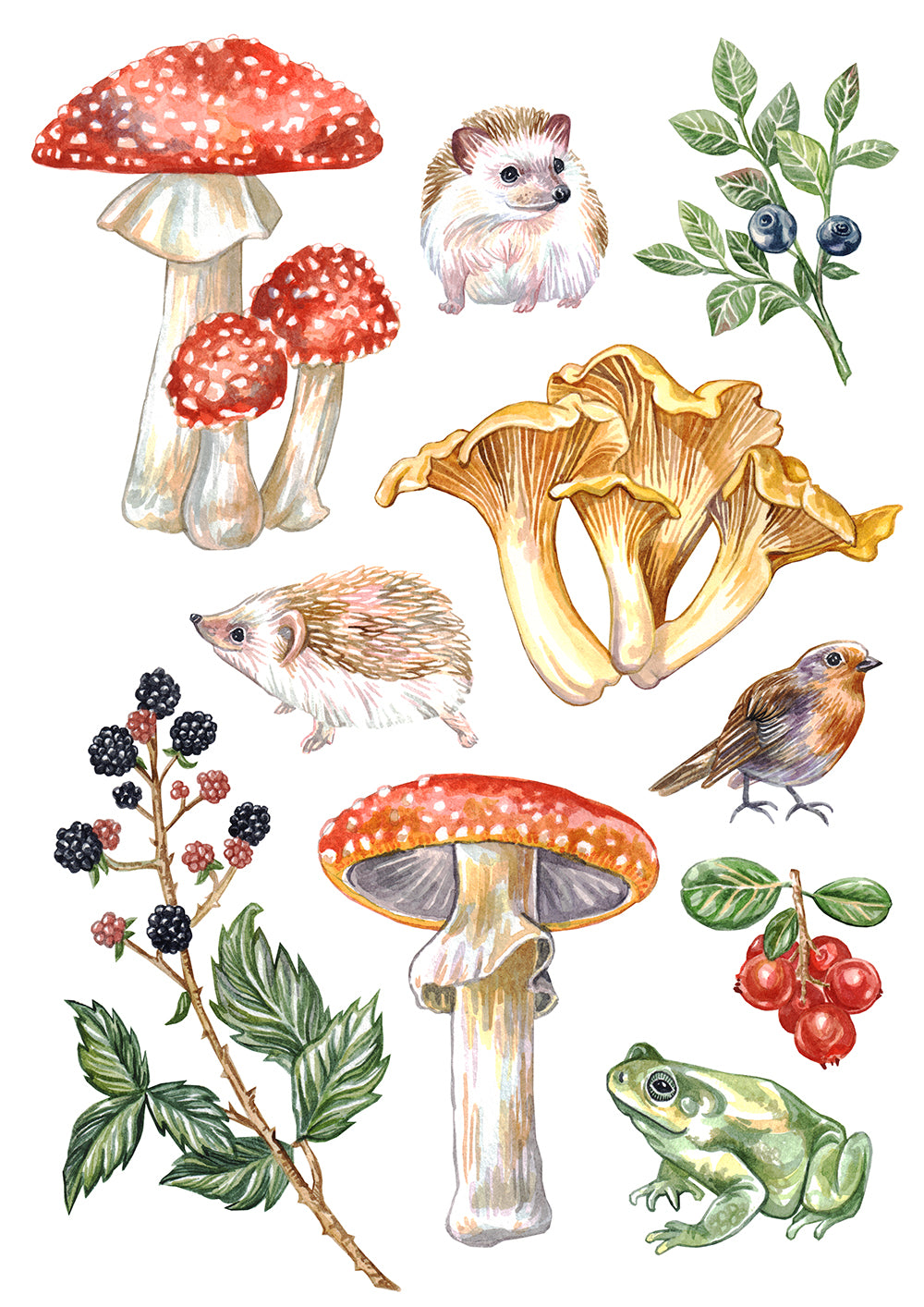 Woodland Critters