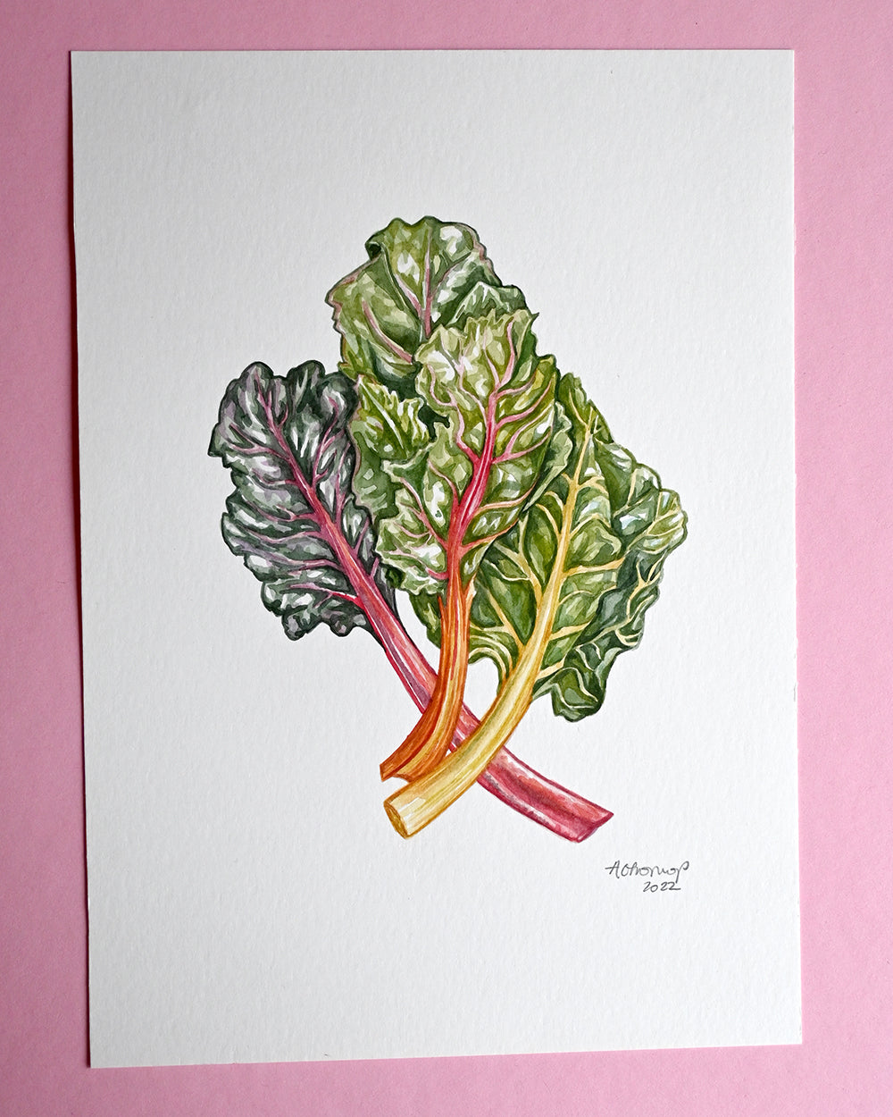 Rainbow Chard Original Watercolour