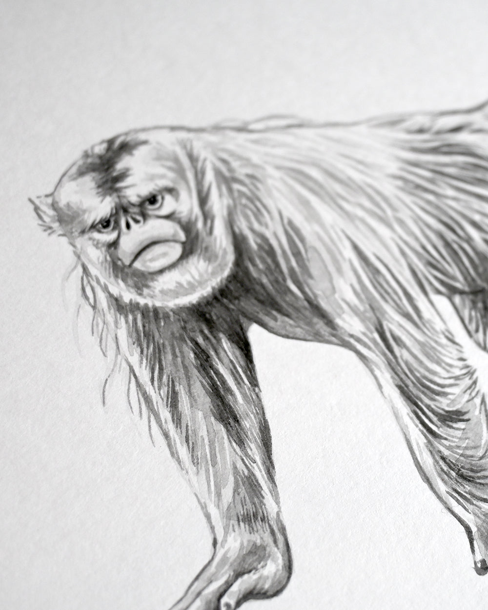 The Golden Monkey Original Watercolour