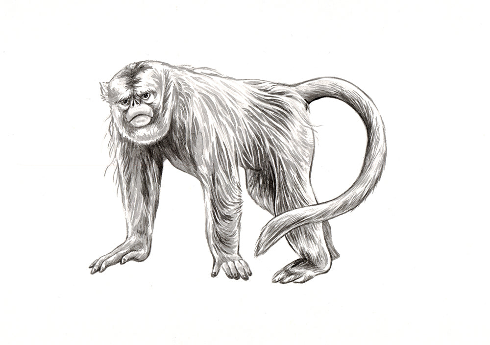 The Golden Monkey Original Watercolour