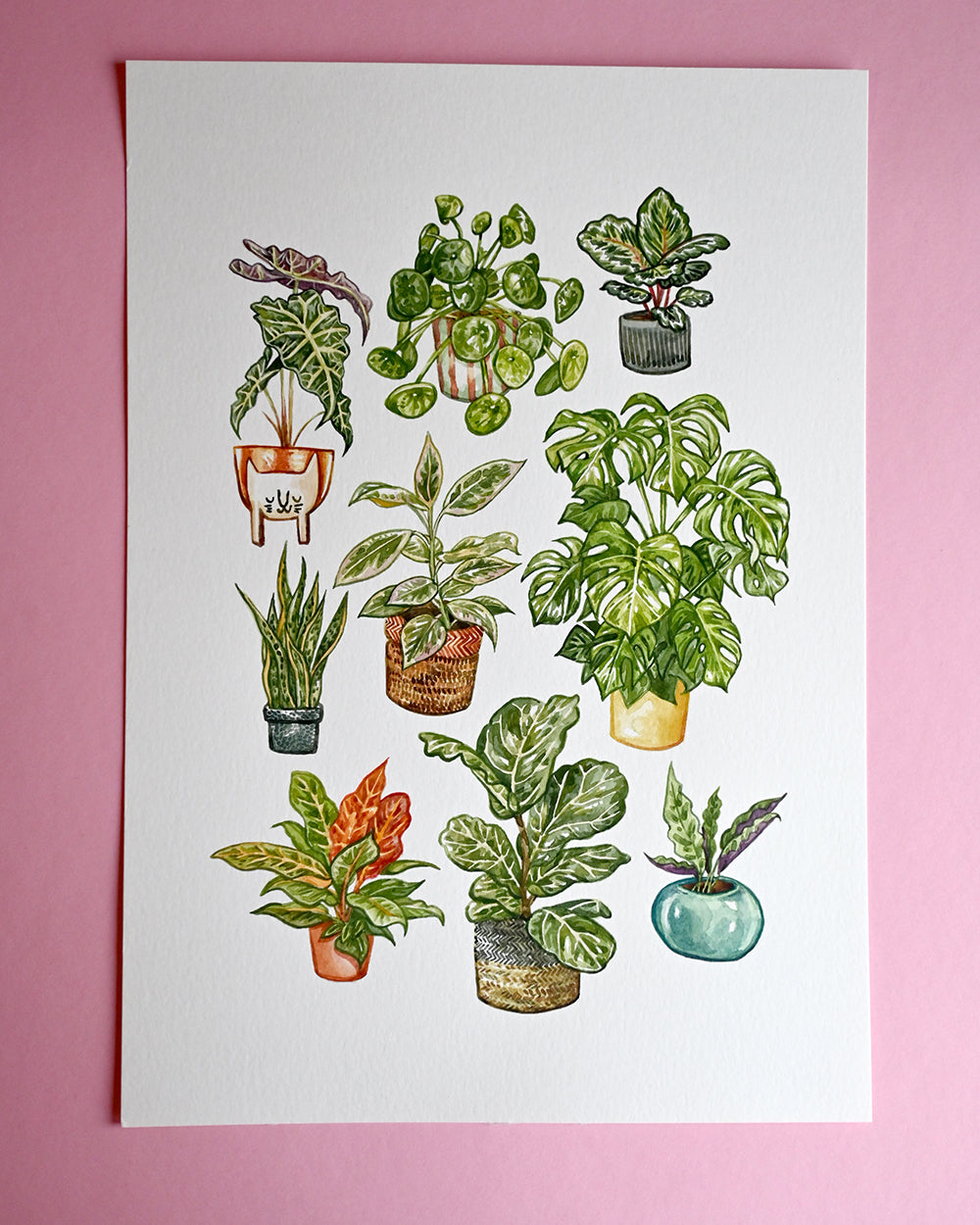 Houseplants Original Watercolour