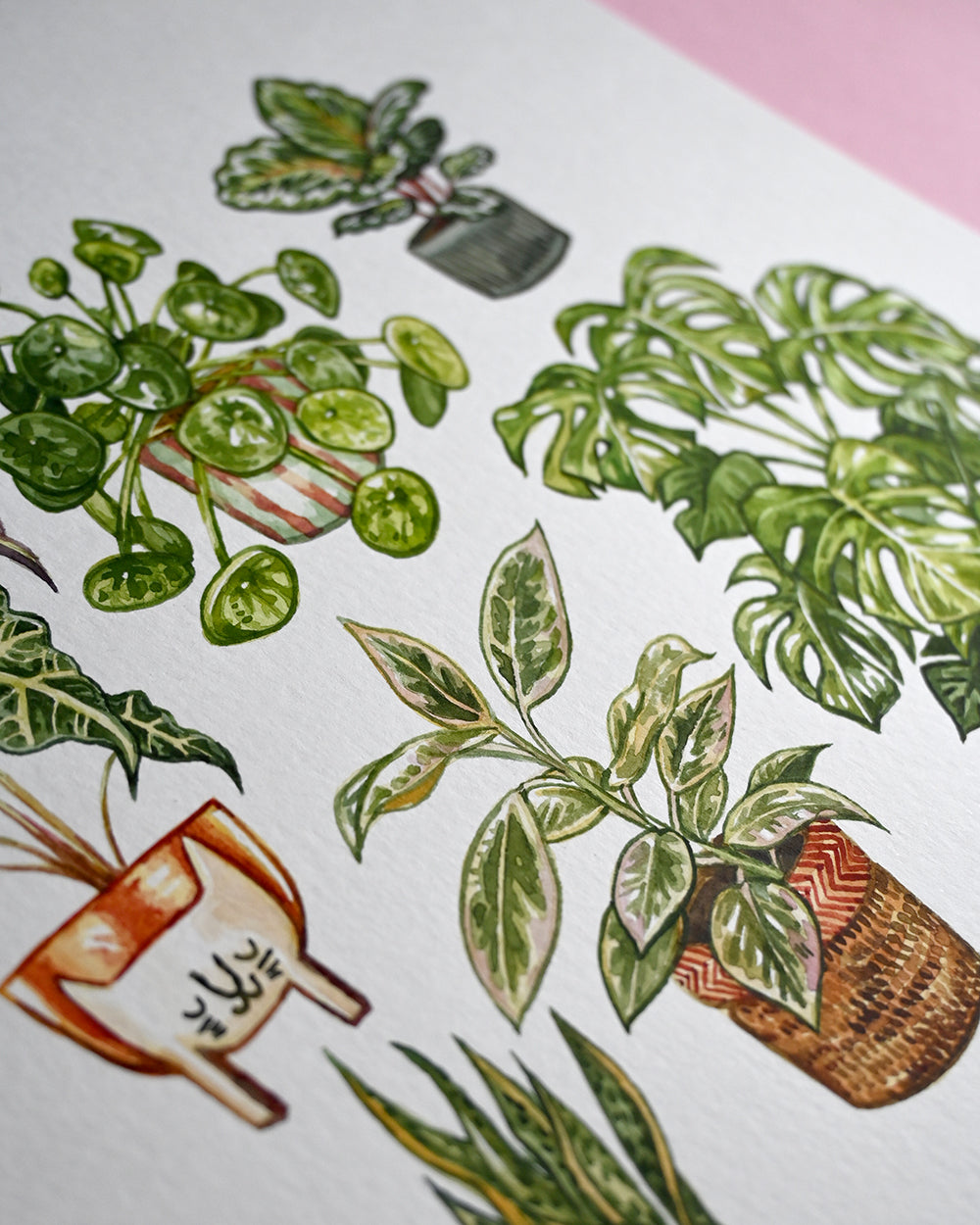 Houseplants Original Watercolour