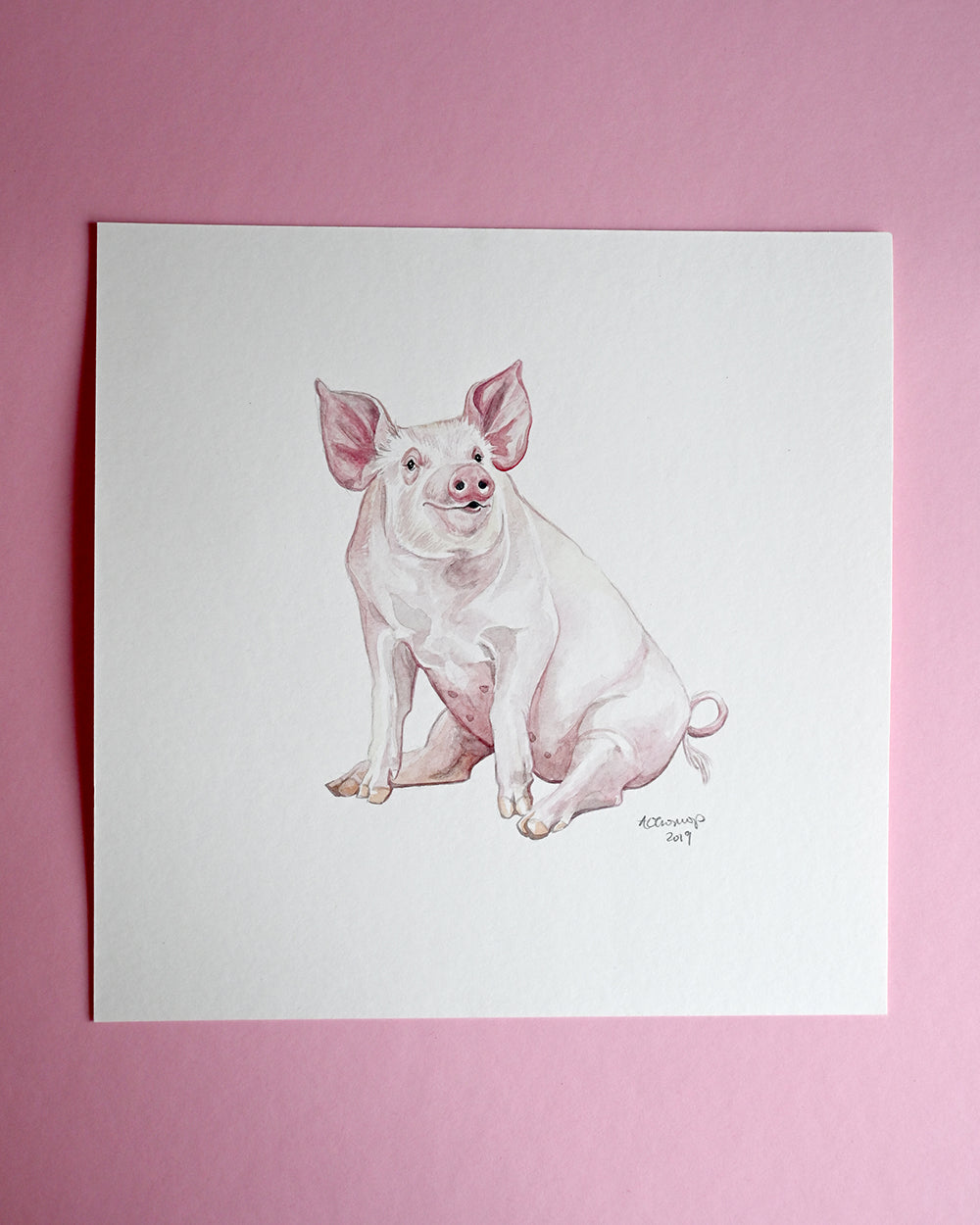 Pig Original Watercolour