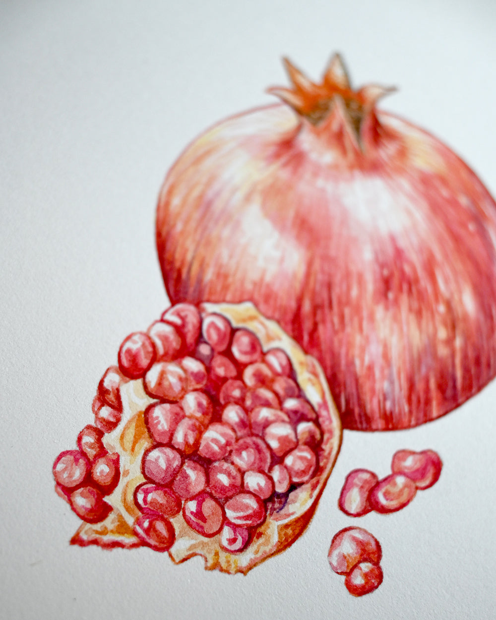 Pomegranate Original Watercolour