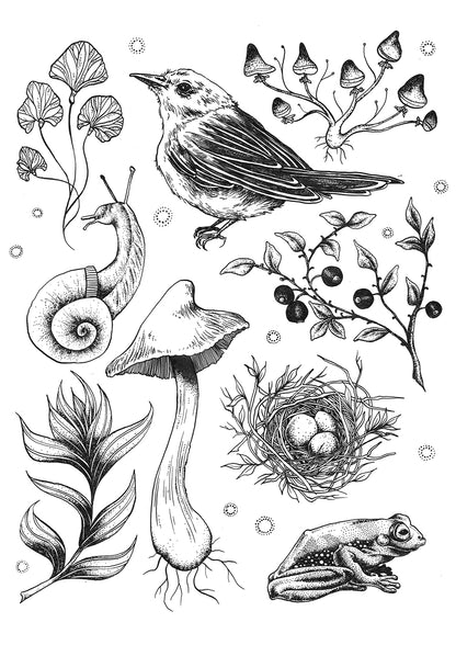 Bird & Nest