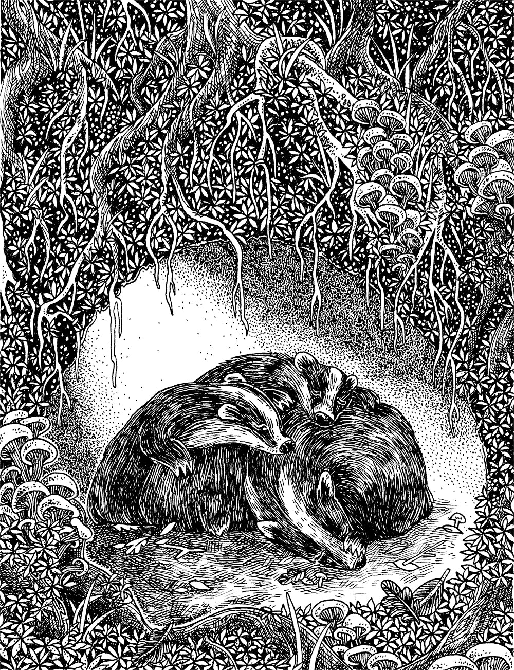 Badgers