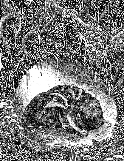 Badgers