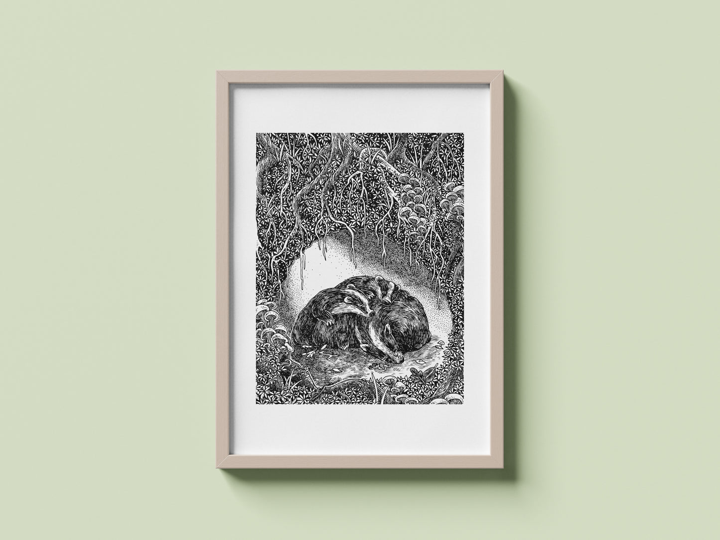 Badgers