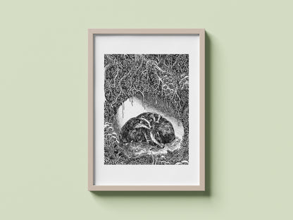 Badgers