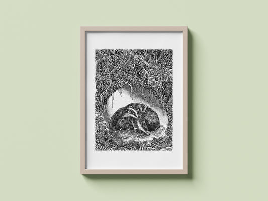 Badgers