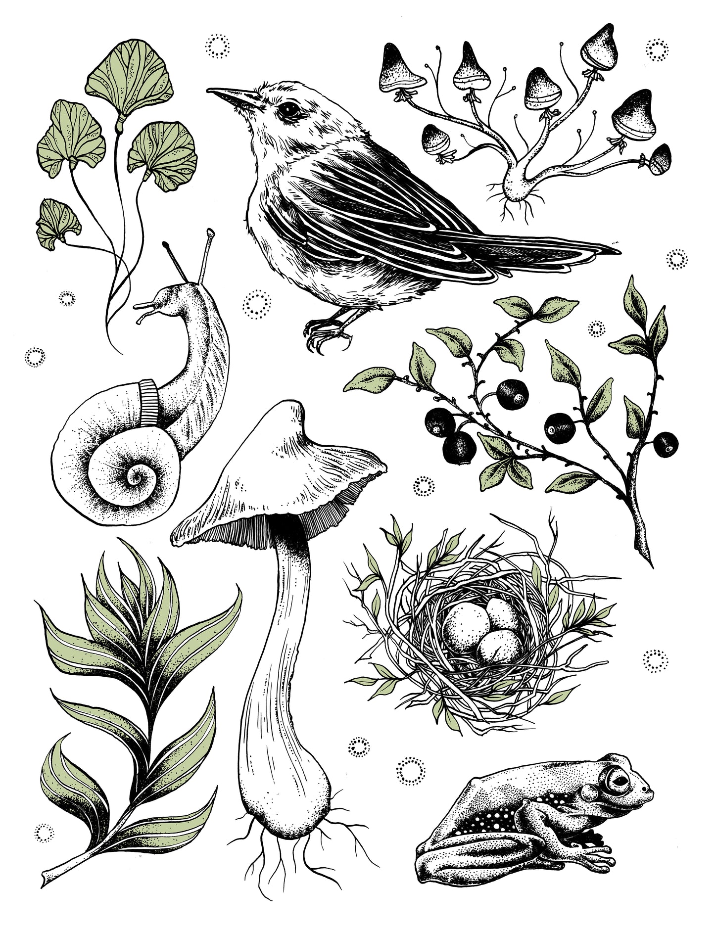 Bird & Nest