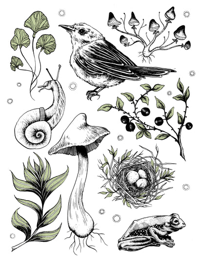 Bird & Nest