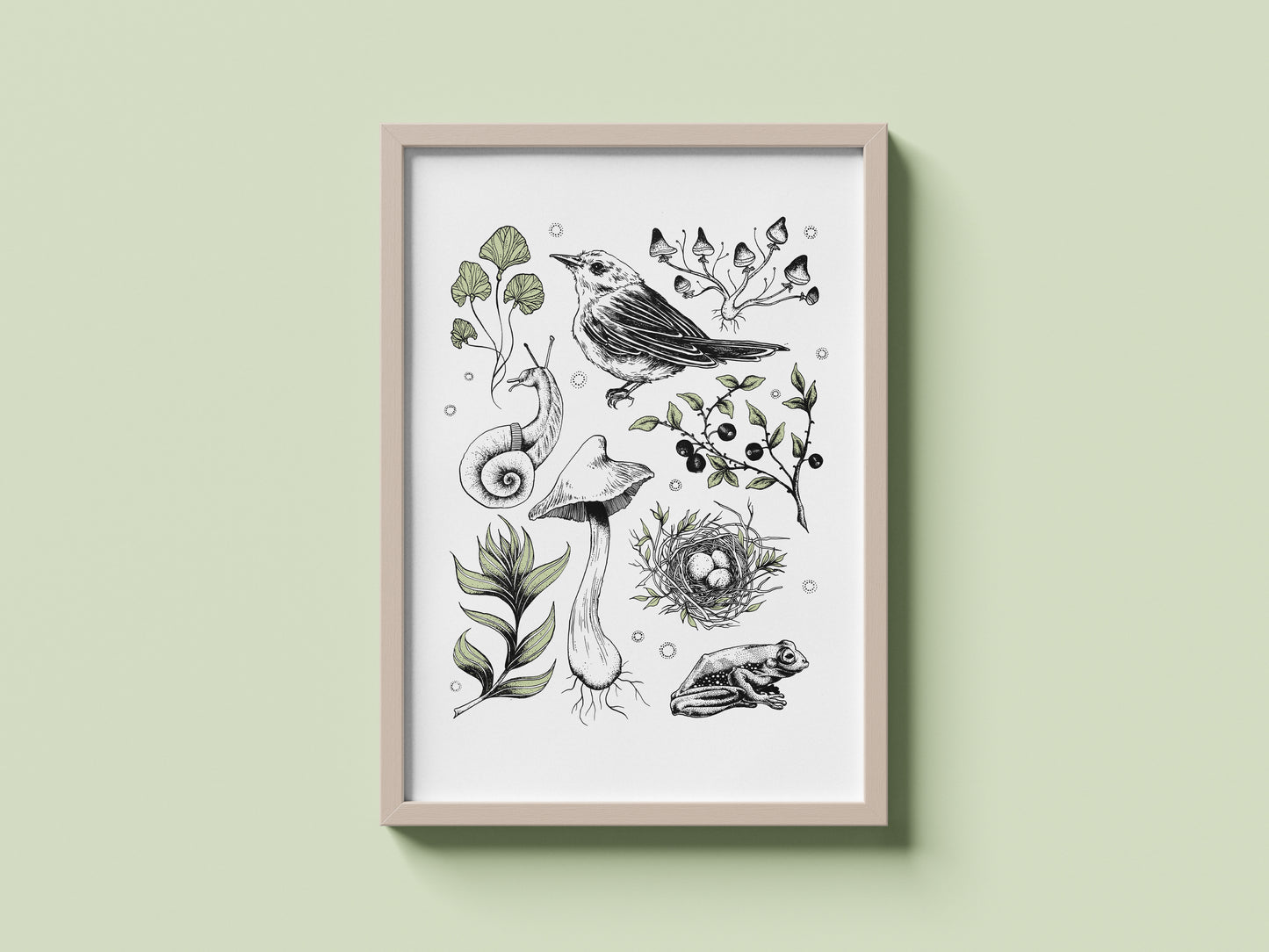 Bird & Nest