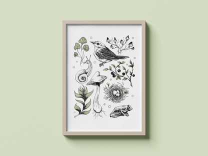 Bird & Nest