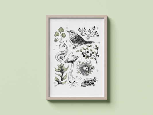 Bird & Nest