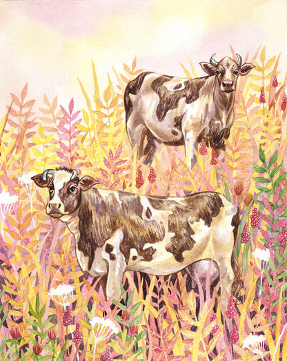 Cows