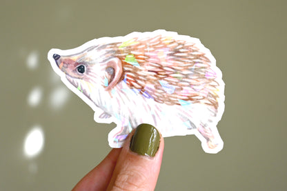 Hedgehog Vinyl Sticker