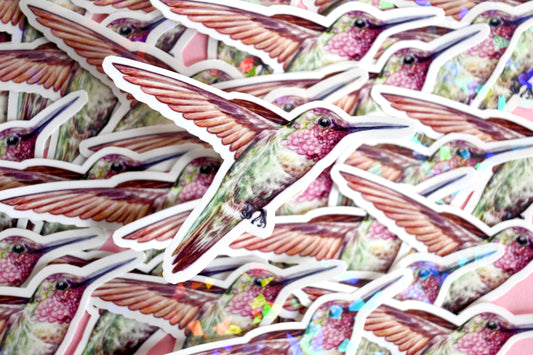 Hummingbird Vinyl Sticker