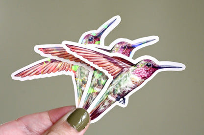 Hummingbird Vinyl Sticker