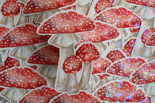 Fly Agaric Vinyl Sticker