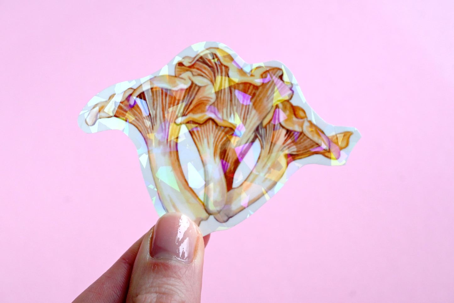 Chanterelle  Vinyl Sticker
