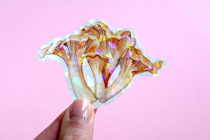 Chanterelle  Vinyl Sticker
