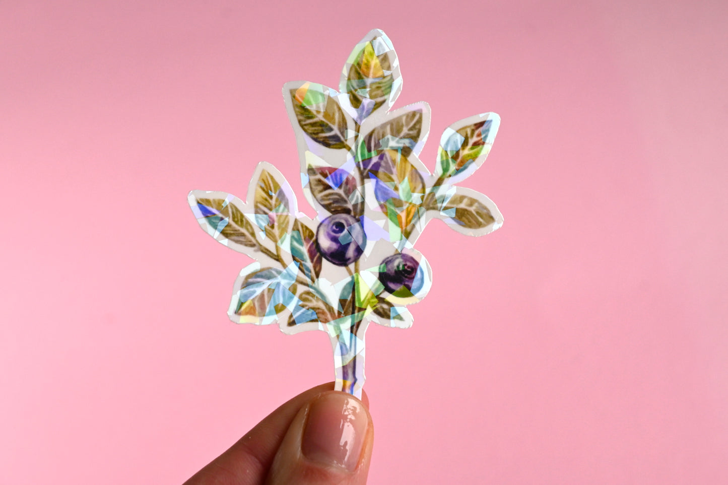 Blueberry Vinyl Sticker