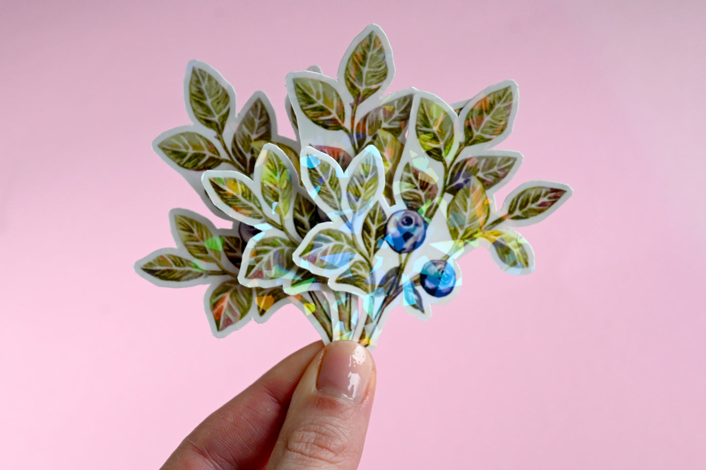 Blueberry Vinyl Sticker